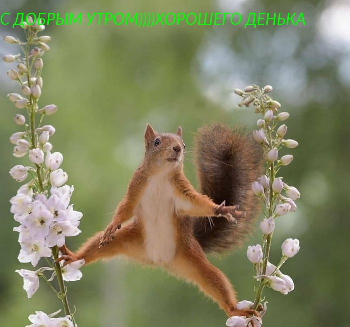 Хостинг картинок yapx.ru