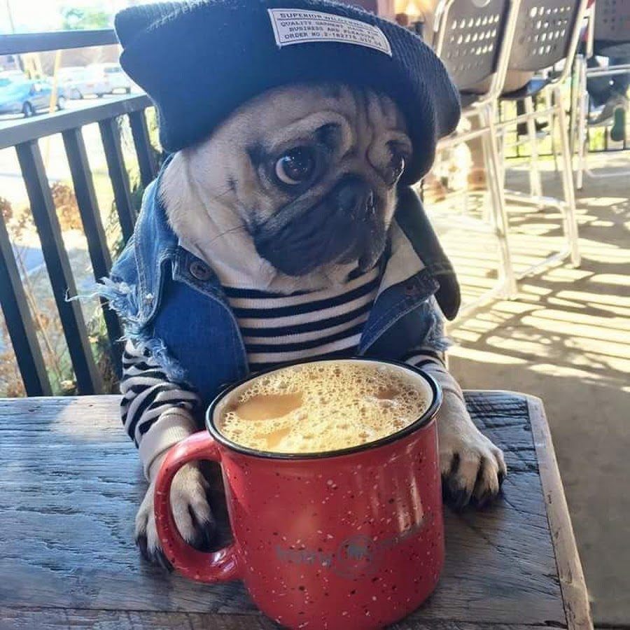 Хостинг картинок yapx.ru