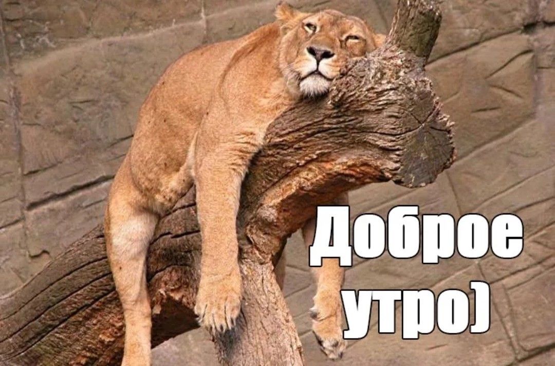 Хостинг картинок yapx.ru