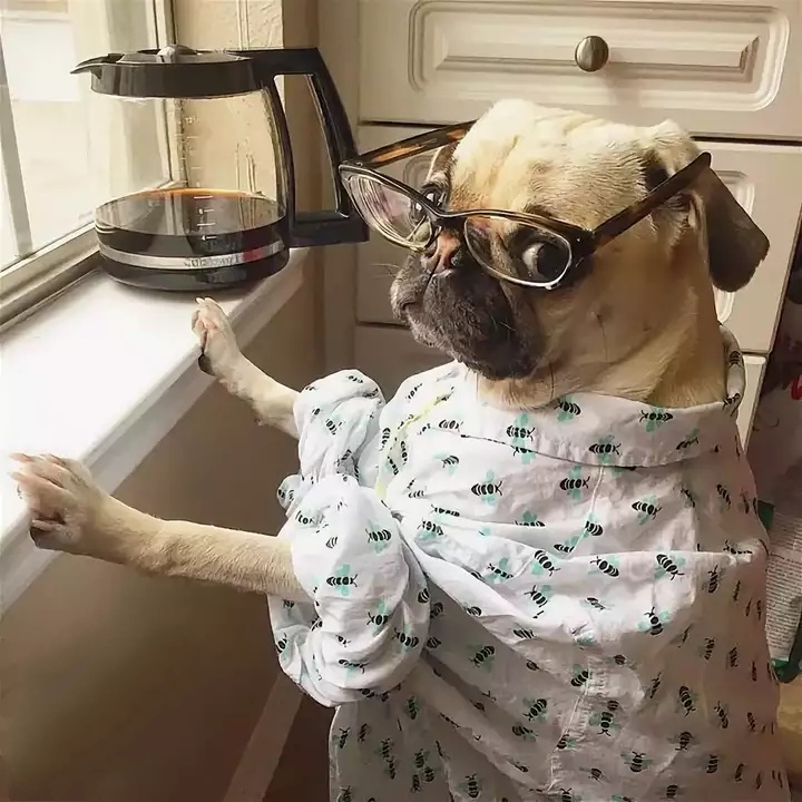 Хостинг картинок yapx.ru