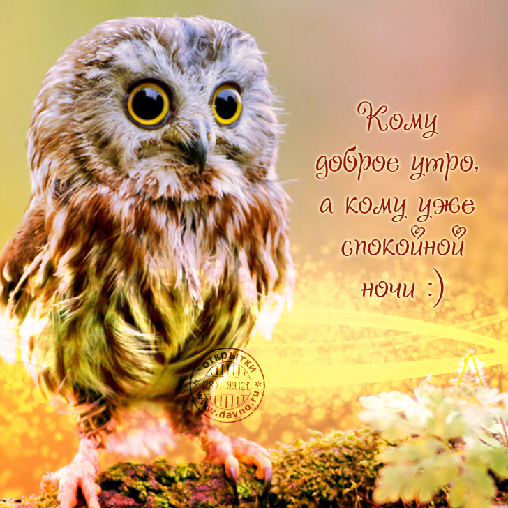 Хостинг картинок yapx.ru