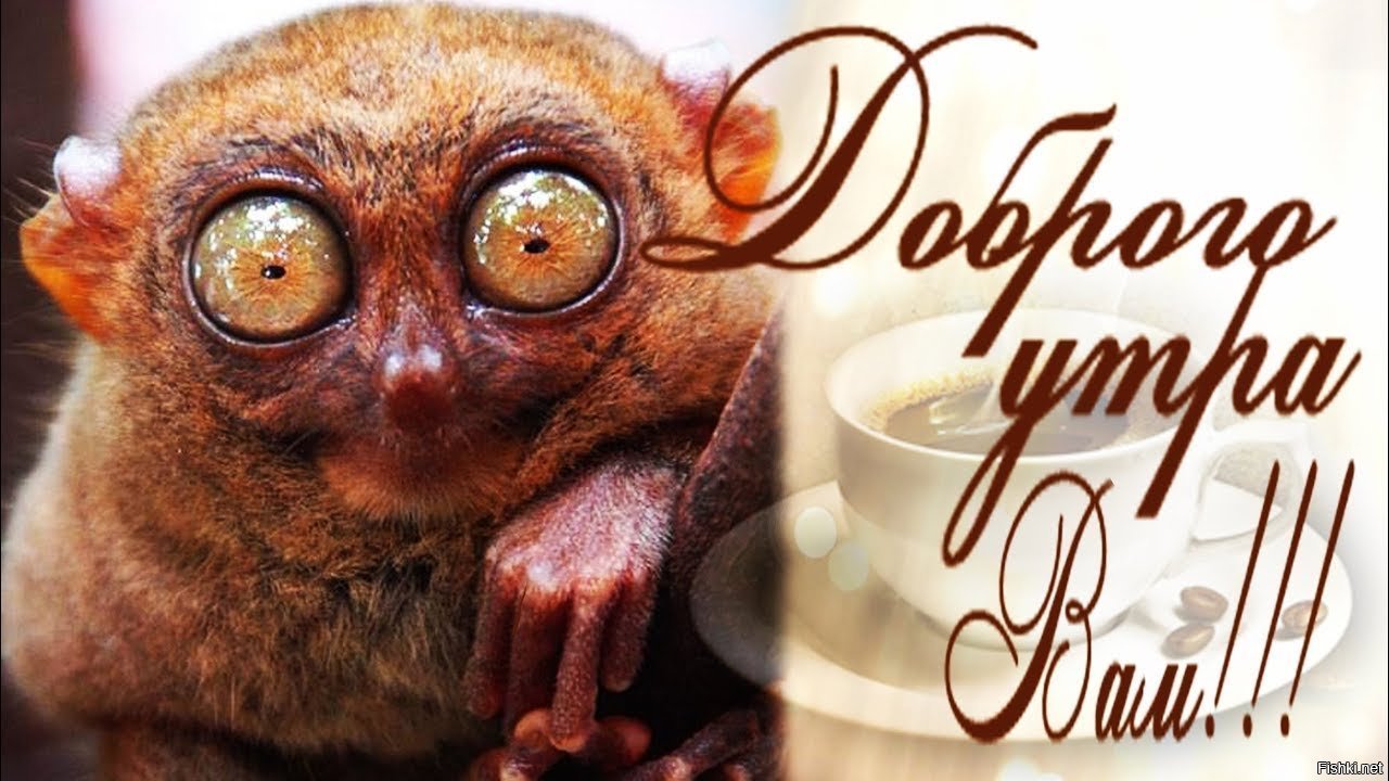 Хостинг картинок yapx.ru