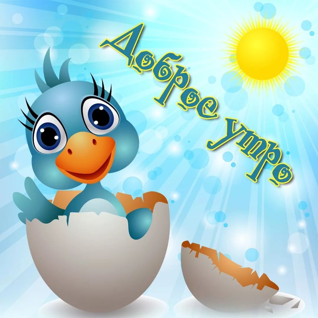 Хостинг картинок yapx.ru