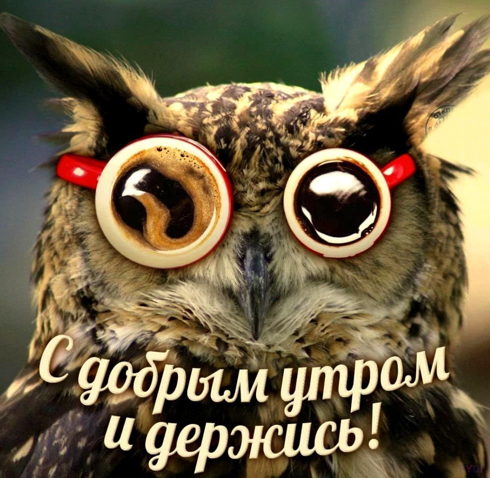 Хостинг картинок yapx.ru