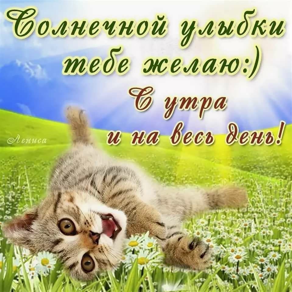 Хостинг картинок yapx.ru