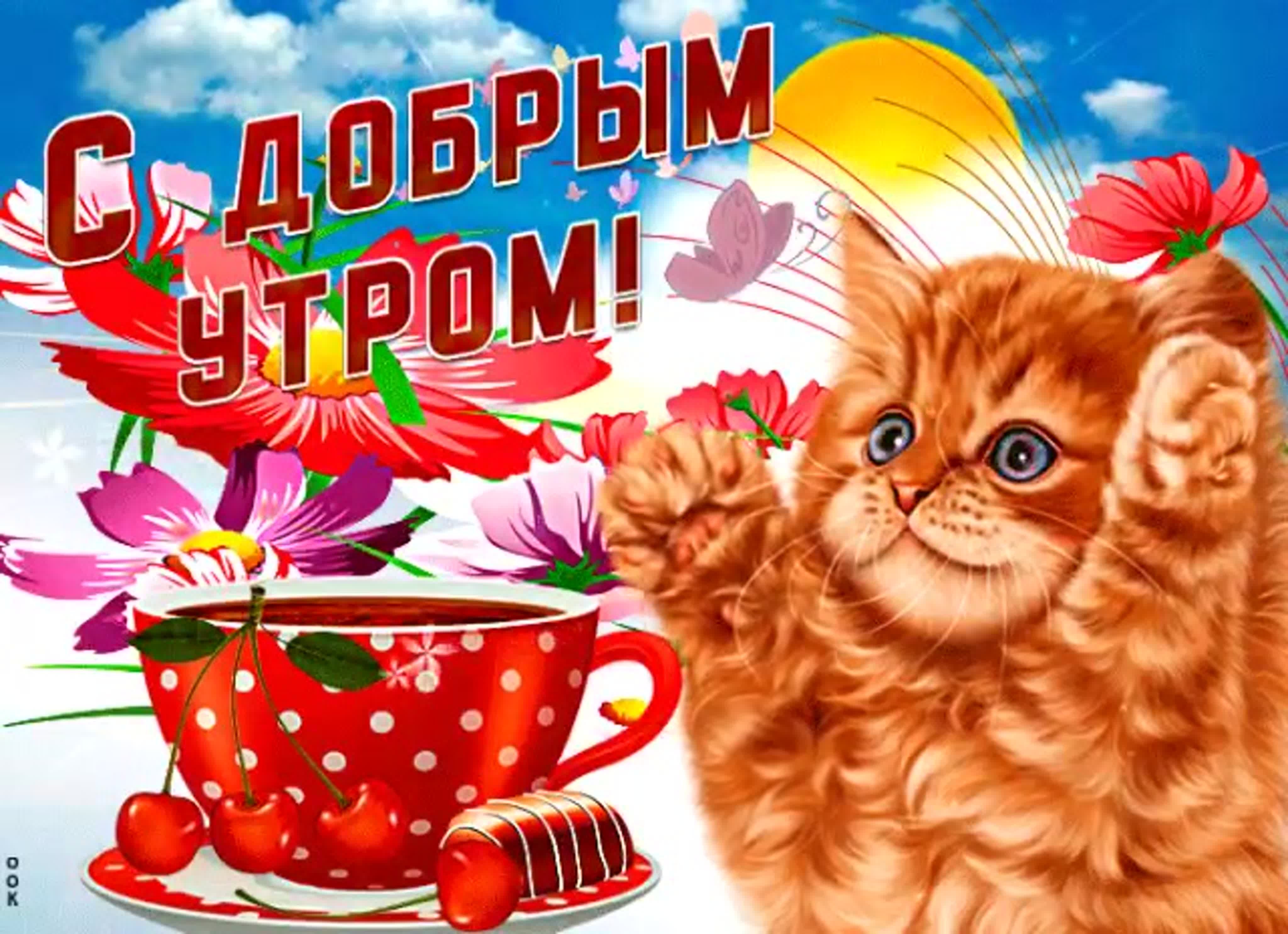 Хостинг картинок yapx.ru