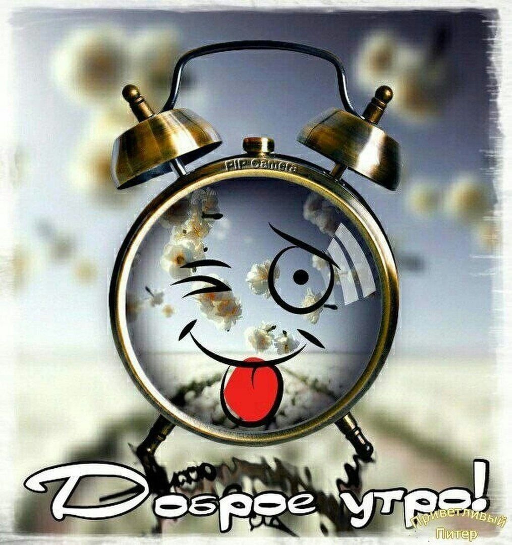 Хостинг картинок yapx.ru