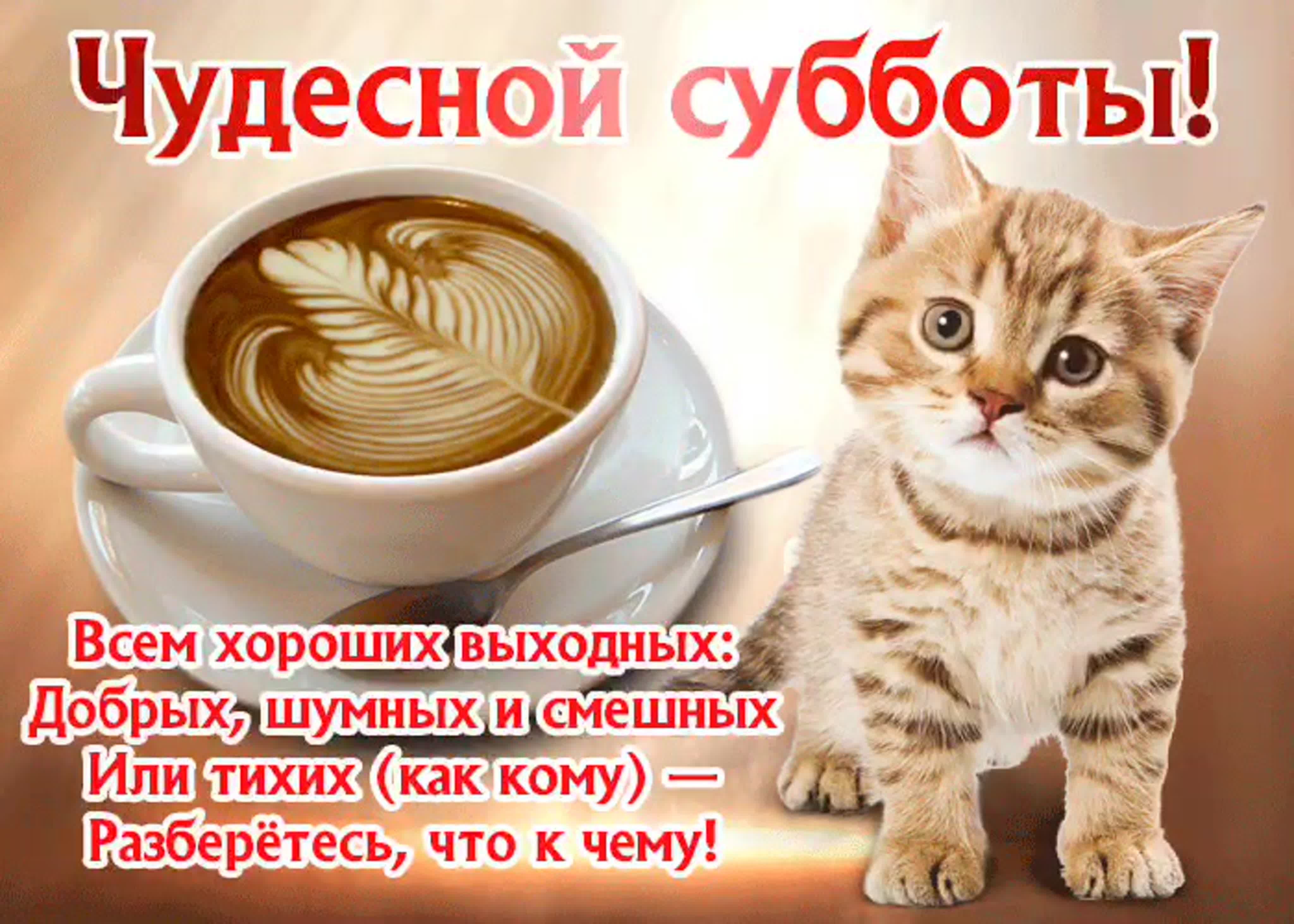 Хостинг картинок yapx.ru