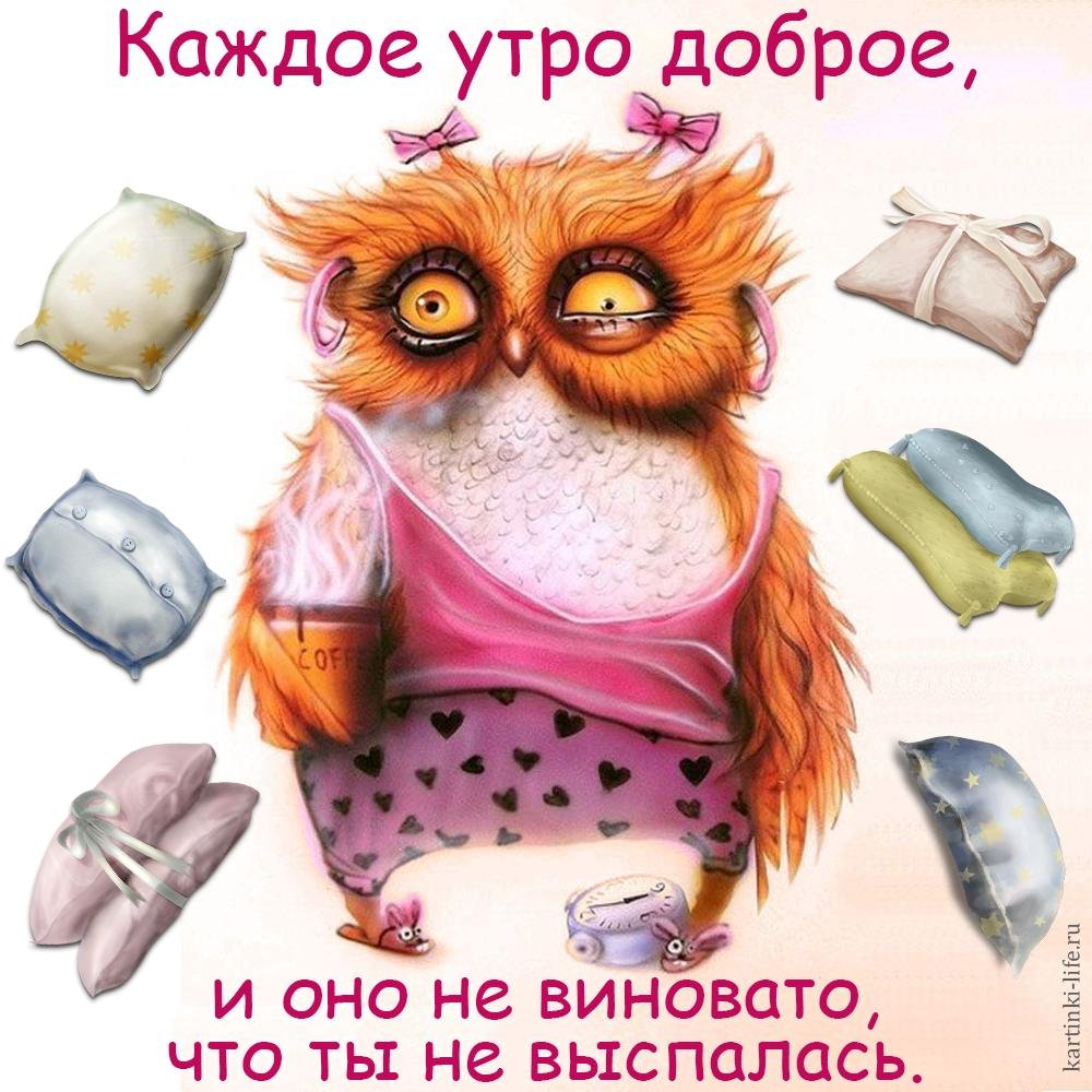 Хостинг картинок yapx.ru