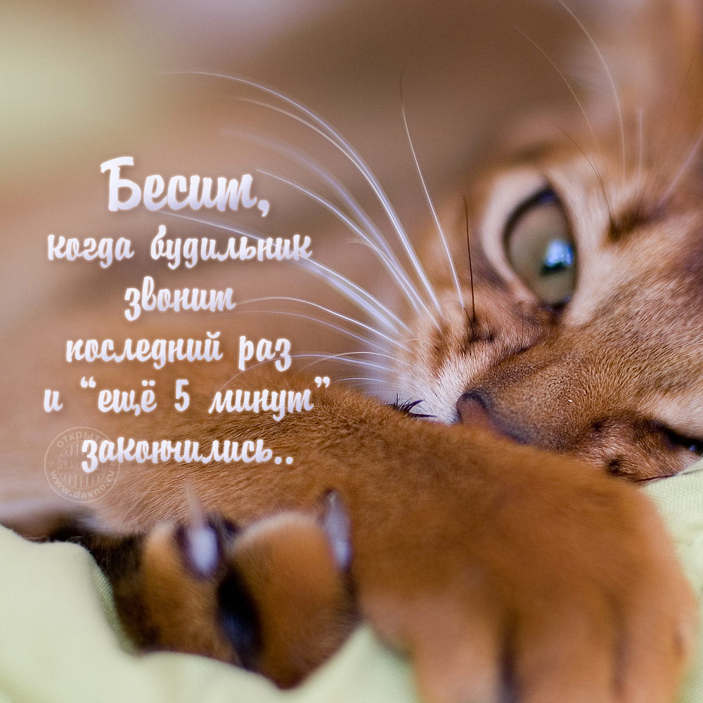 Хостинг картинок yapx.ru