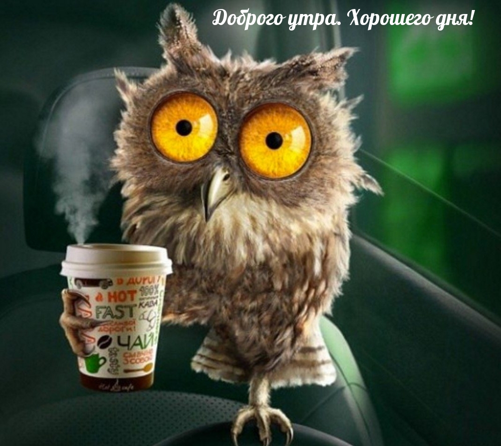 Хостинг картинок yapx.ru