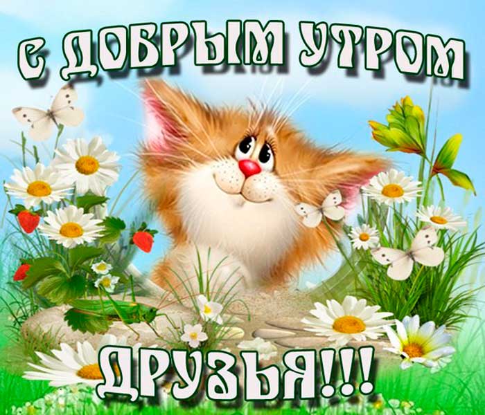 Хостинг картинок yapx.ru