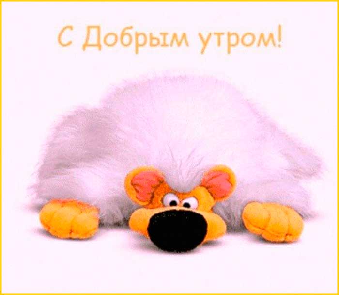 Хостинг картинок yapx.ru