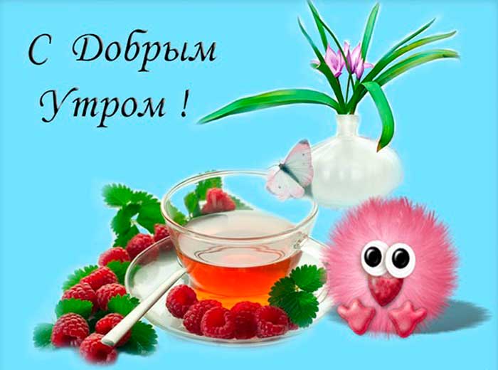 Хостинг картинок yapx.ru