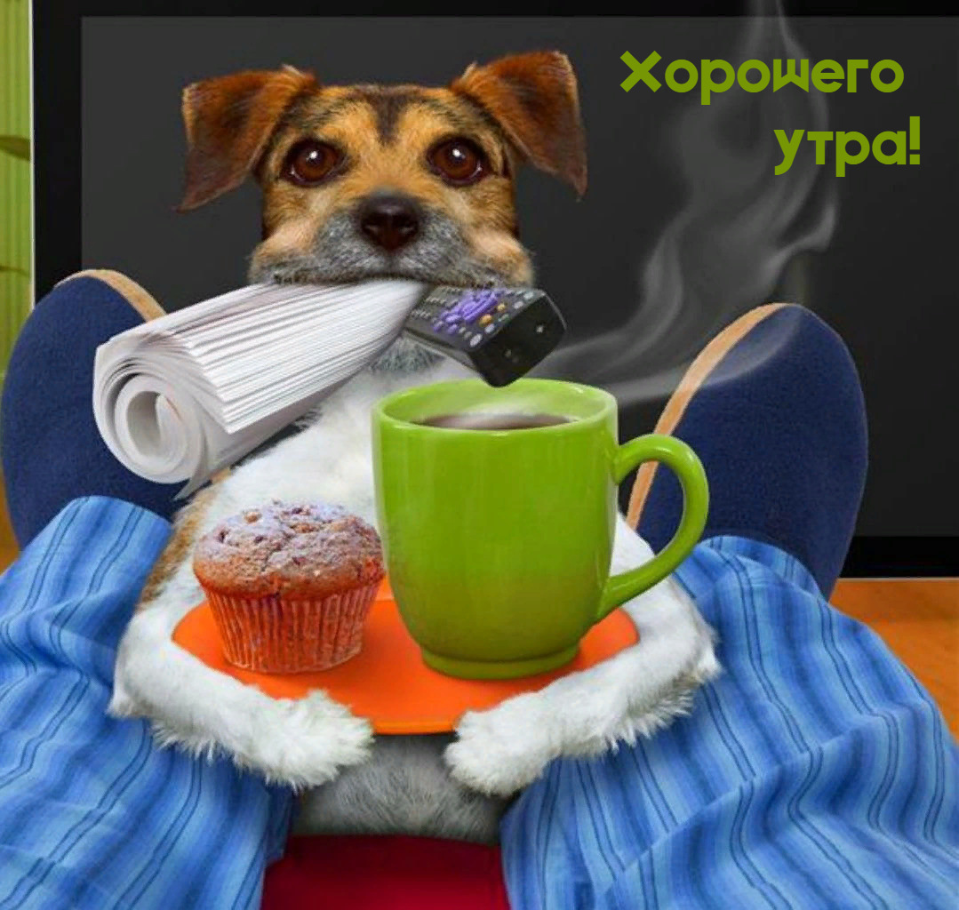 Хостинг картинок yapx.ru