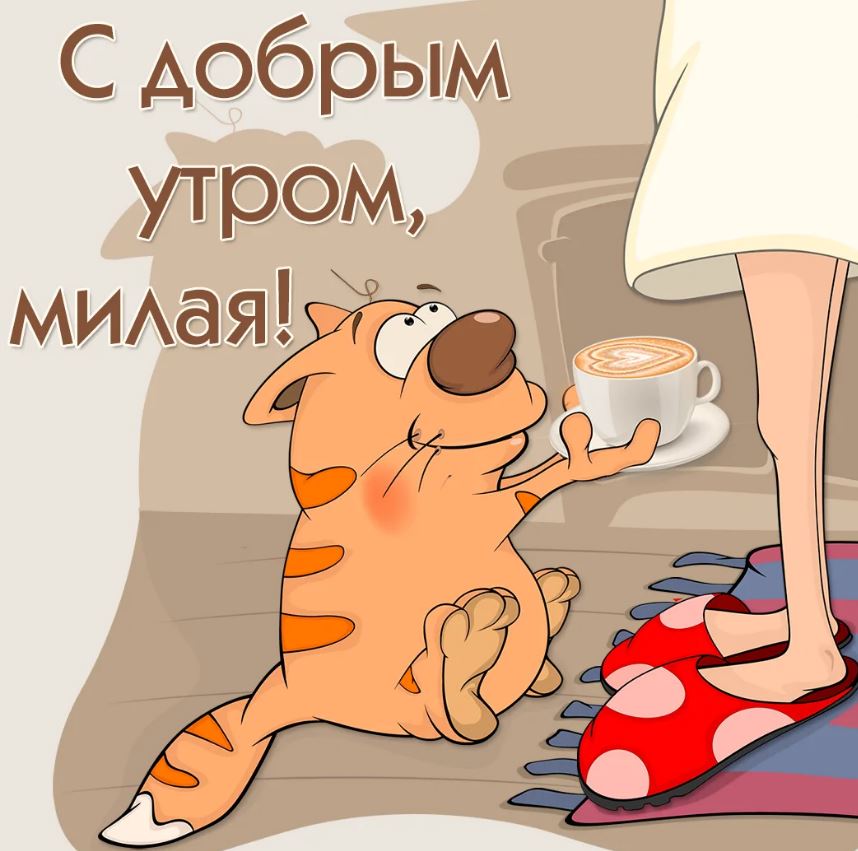 Хостинг картинок yapx.ru