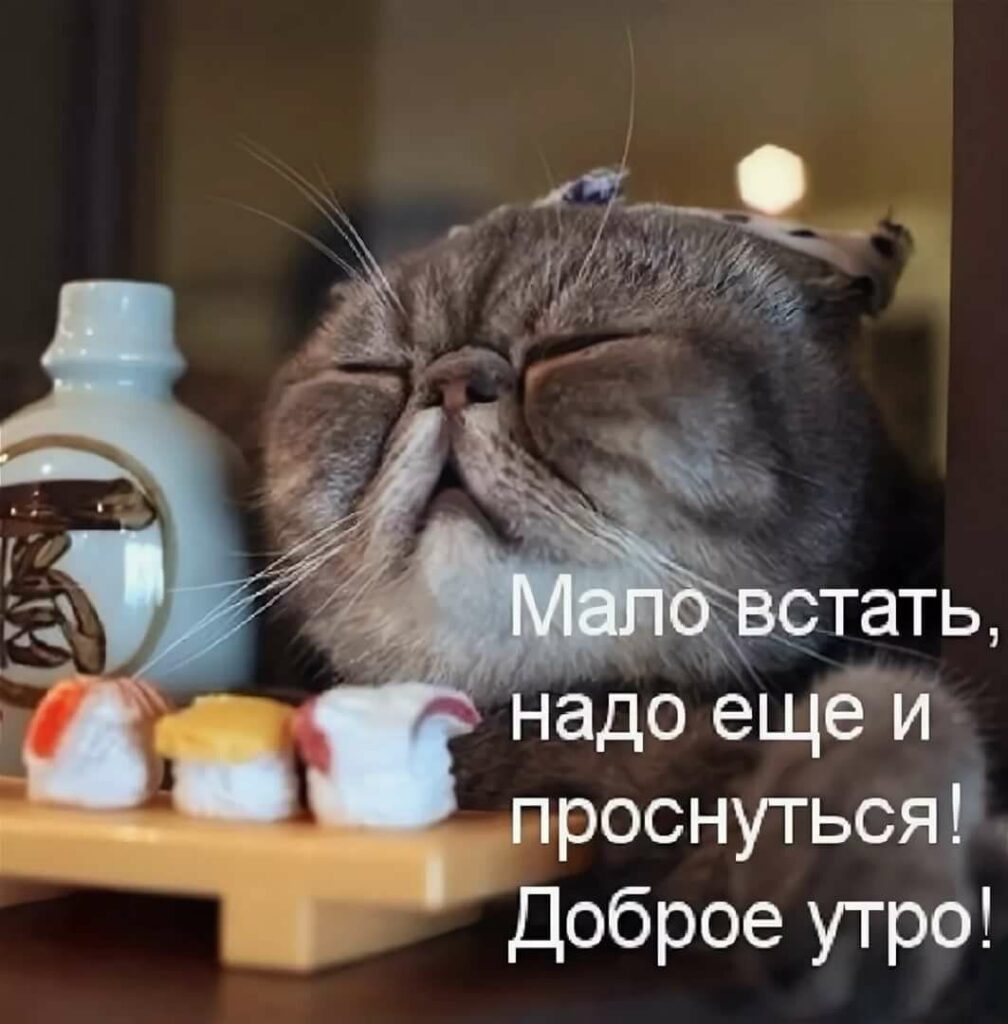 Хостинг картинок yapx.ru