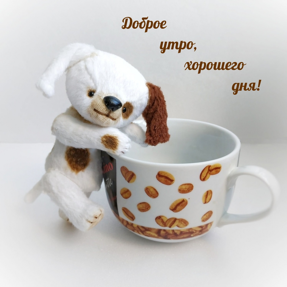 Хостинг картинок yapx.ru