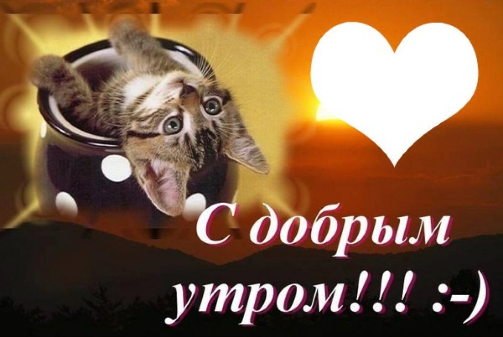 Хостинг картинок yapx.ru