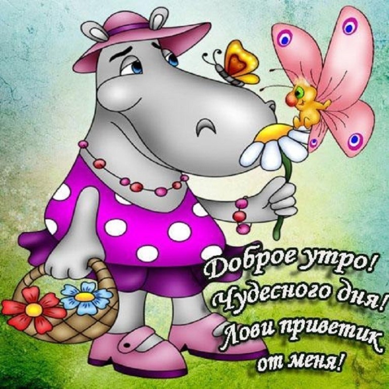 Хостинг картинок yapx.ru