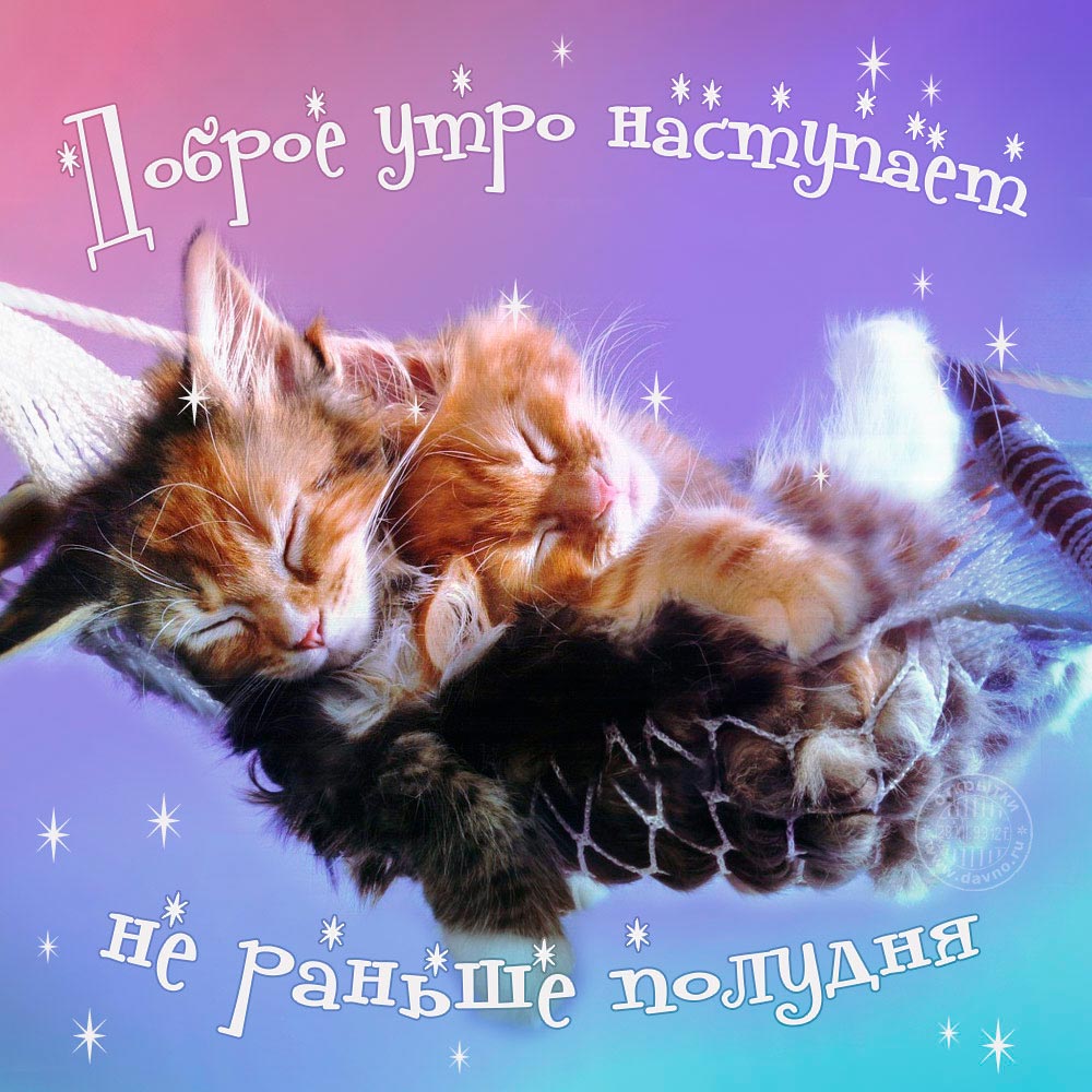 Хостинг картинок yapx.ru