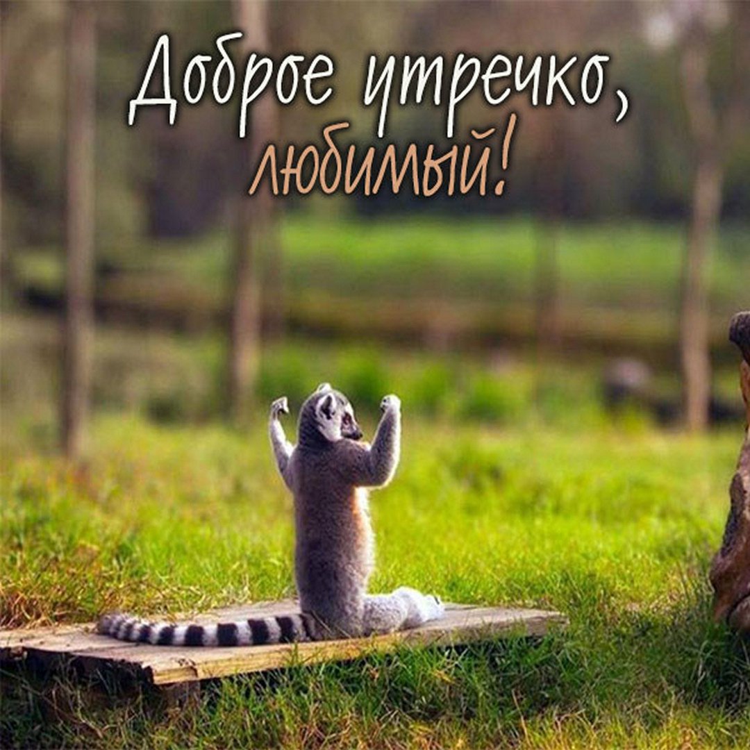 Хостинг картинок yapx.ru