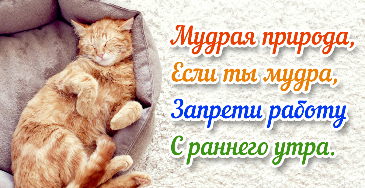 Хостинг картинок yapx.ru