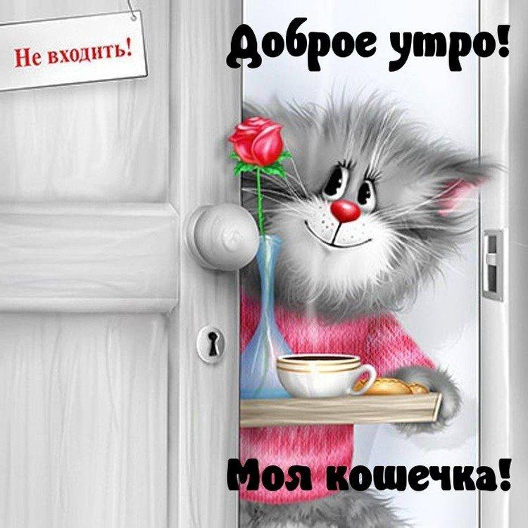 Хостинг картинок yapx.ru