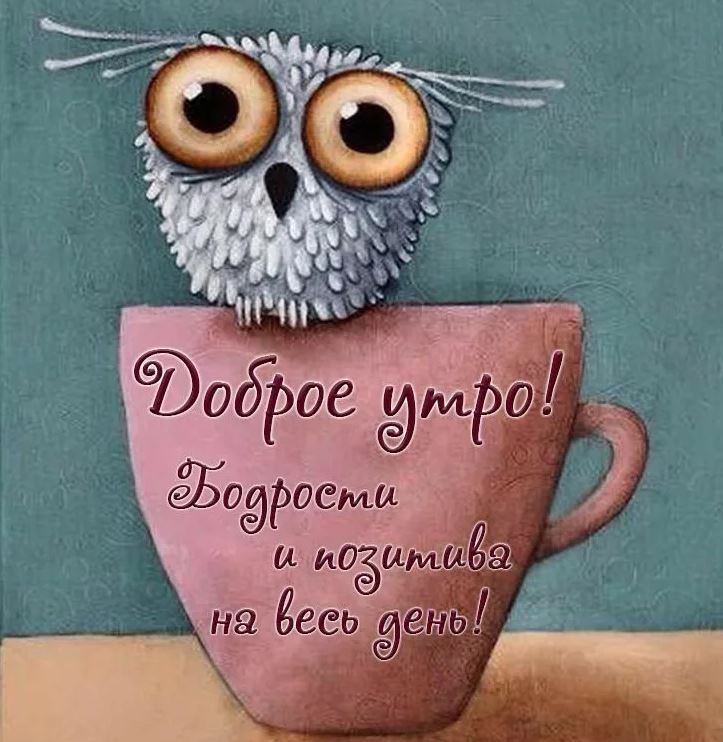 Хостинг картинок yapx.ru