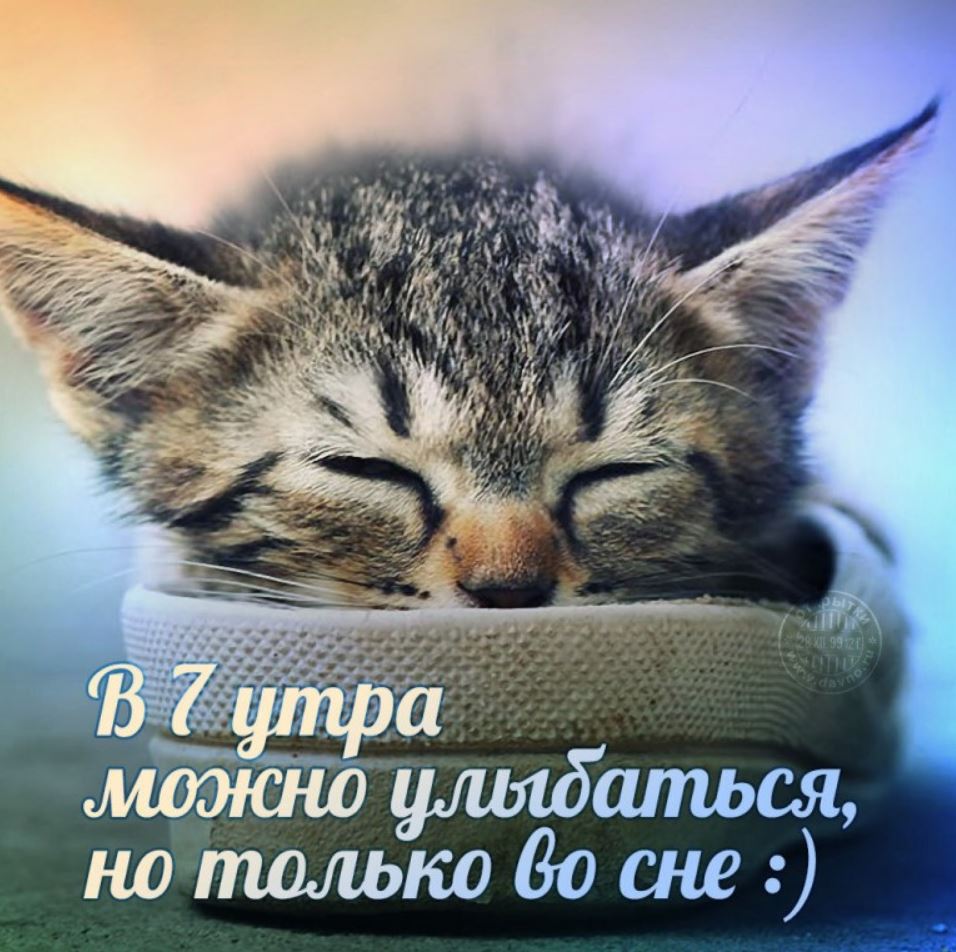 Хостинг картинок yapx.ru