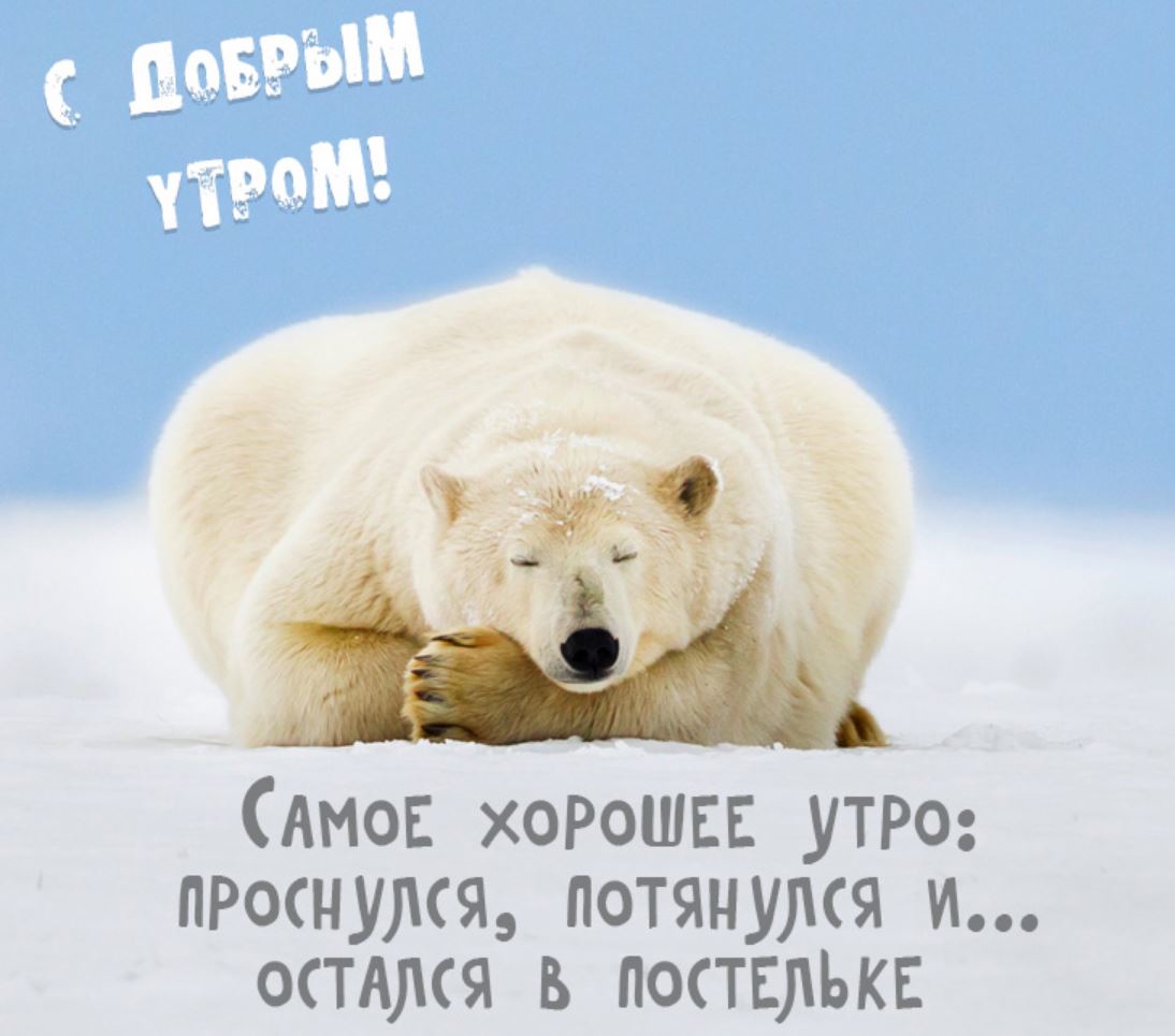 Хостинг картинок yapx.ru