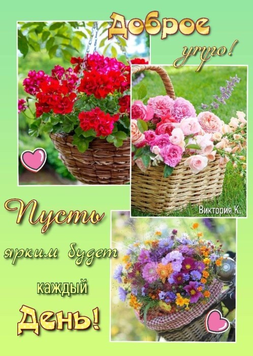 Хостинг картинок yapx.ru