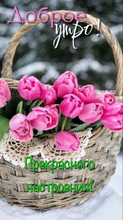 Хостинг картинок yapx.ru