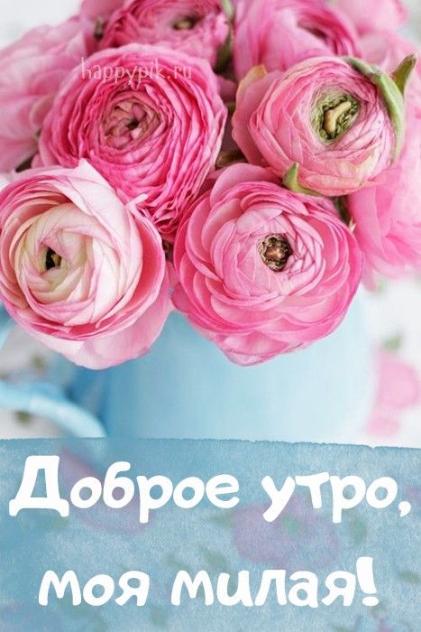 Хостинг картинок yapx.ru