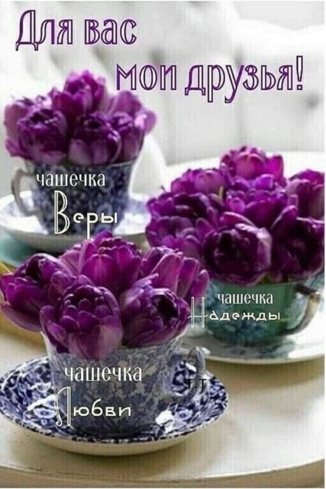 Хостинг картинок yapx.ru