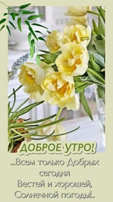 Позволь солнцу пробудить в тебе внутреннего художника, чтобы твои мысли и идеи превратились в шедевры. Позволь солнцу пробудить в тебе внутреннего художника, чтобы твои мысли и идеи превратились в шедевры.