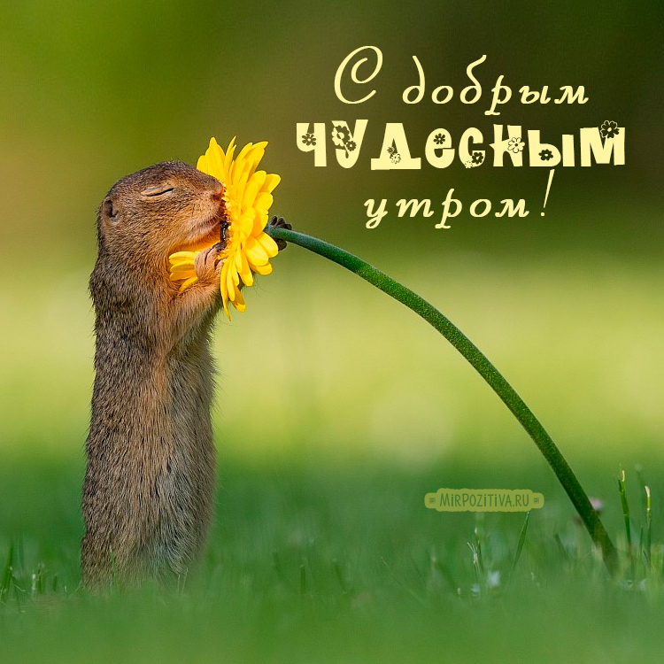 Пусть каждая линия, каждый цвет и каждая форма, которые ты создашь сегодня, будут наполнены радостью и любовью. Пусть каждая линия, каждый цвет и каждая форма, которые ты создашь сегодня, будут наполнены радостью и любовью.