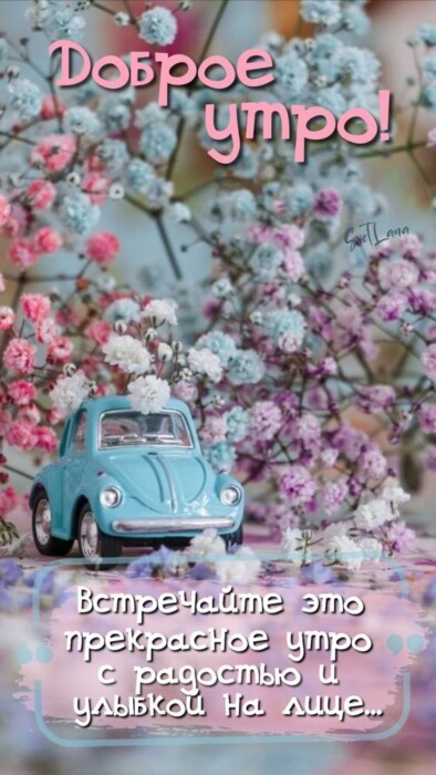 Хостинг картинок yapx.ru