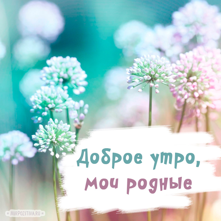 Пусть птицы пениями наполняют твоё сердце свежестью и весенним настроением. Пусть птицы пениями наполняют твоё сердце свежестью и весенним настроением.