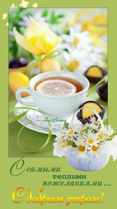 Хостинг картинок yapx.ru