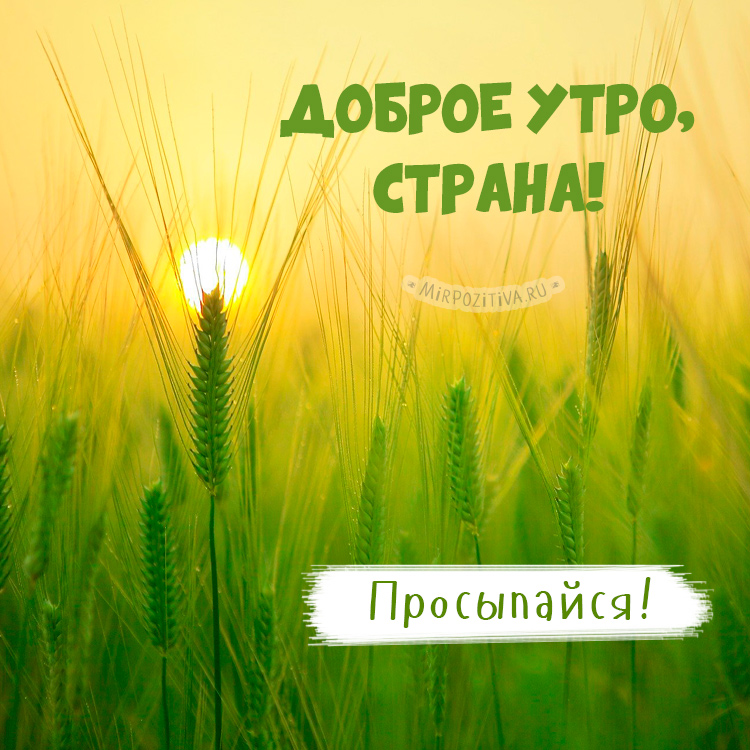 Хостинг картинок yapx.ru