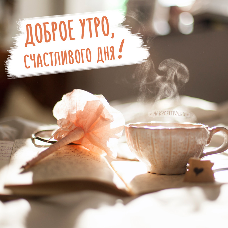 Хостинг картинок yapx.ru