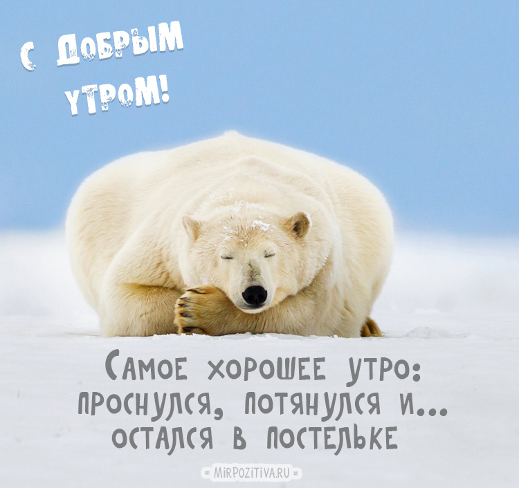 Хостинг картинок yapx.ru