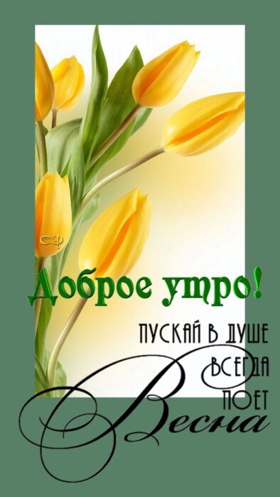 Хостинг картинок yapx.ru