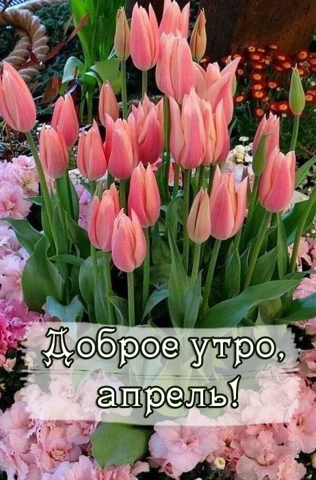 Хостинг картинок yapx.ru