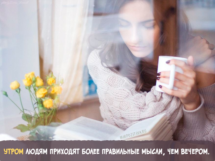 Хостинг картинок yapx.ru