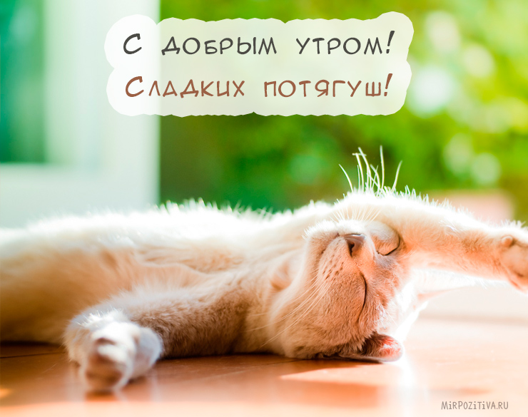 Хостинг картинок yapx.ru