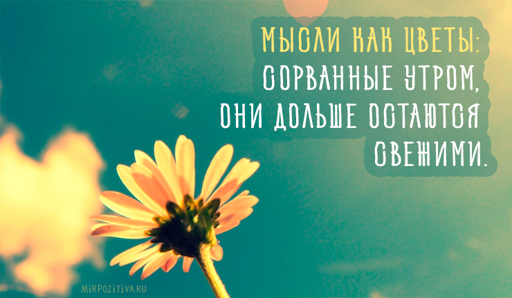 Хостинг картинок yapx.ru