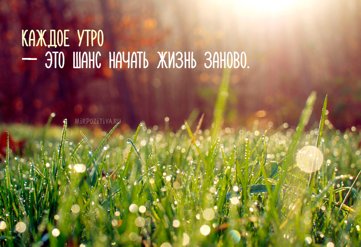 Хостинг картинок yapx.ru