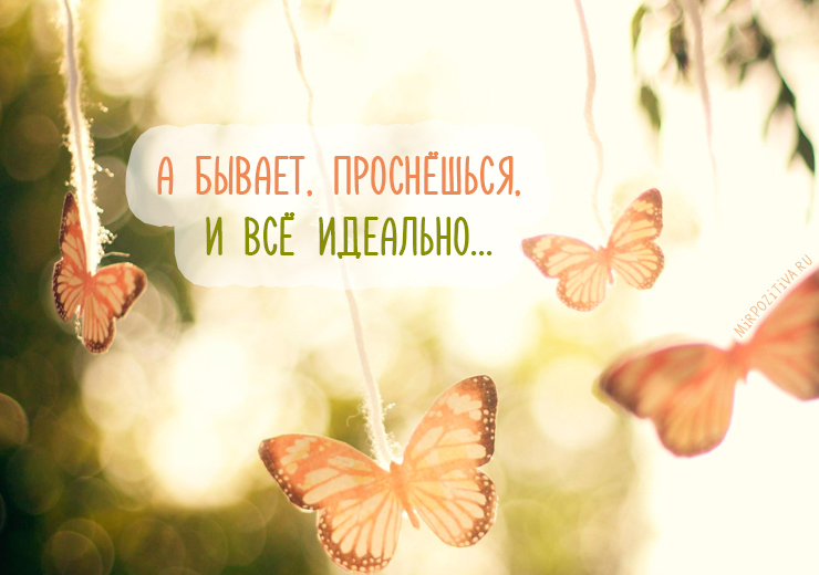 Хостинг картинок yapx.ru